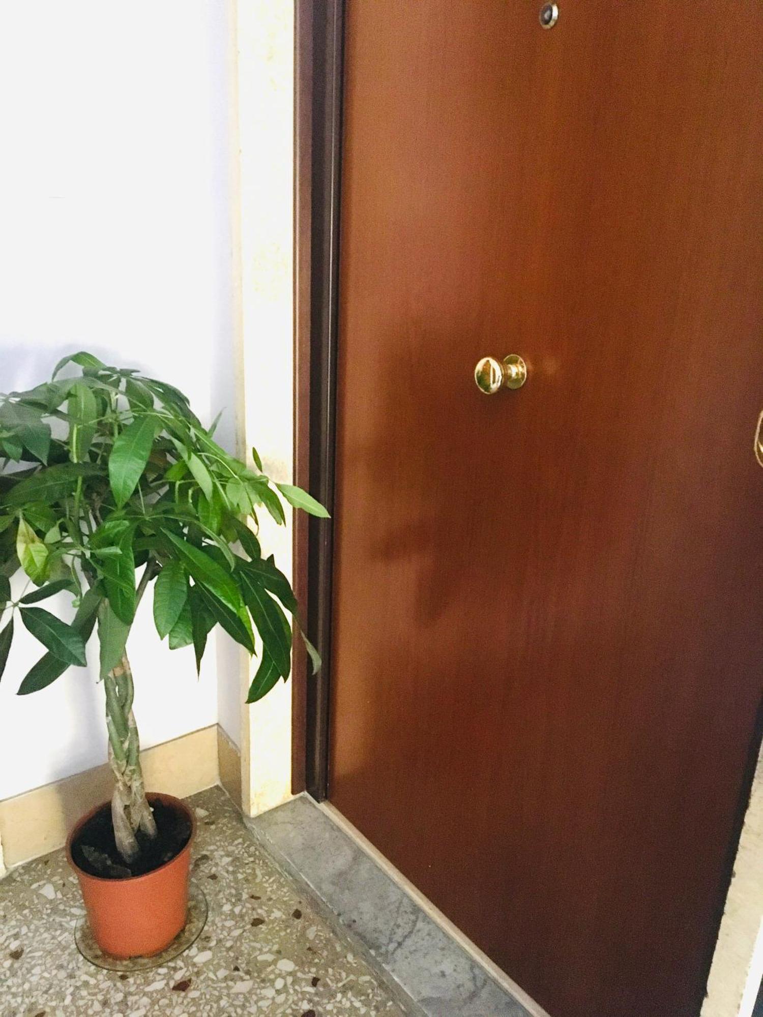 House Alessandrino Appartamento